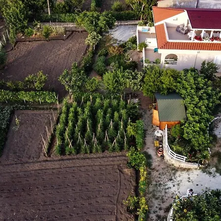 Michelino House