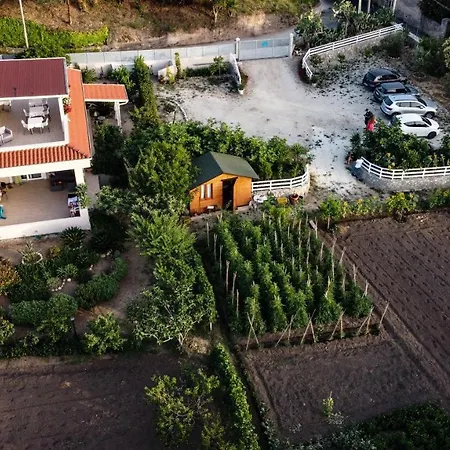 Michelino House ベッド・アンド・ブレックファスト 4*