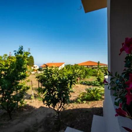 Michelino House Oda ve Kahvaltı Parghelia