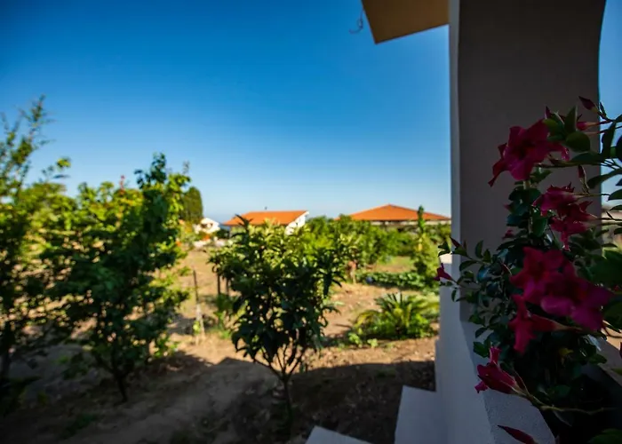 Michelino House Bed & Breakfast Parghelia